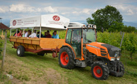 Traktorfahrten durch die Weinberge Traktorfahrten durch die Weinberge